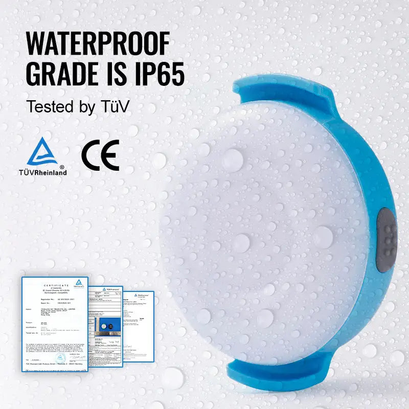 LED Light for Dogs – USB Rechargeable, Waterproof & Night-Safe! - Pet house