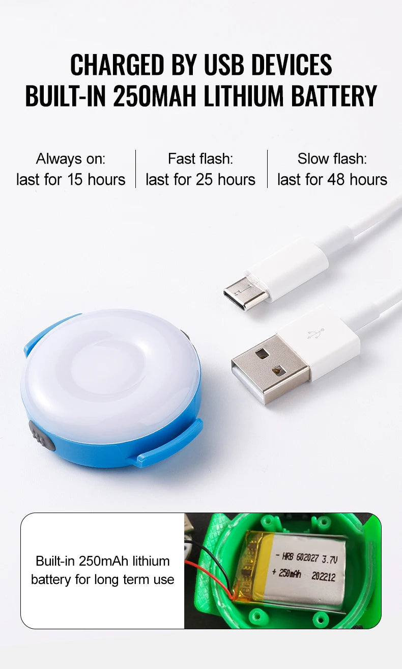 LED Light for Dogs – USB Rechargeable, Waterproof & Night-Safe! - Pet house