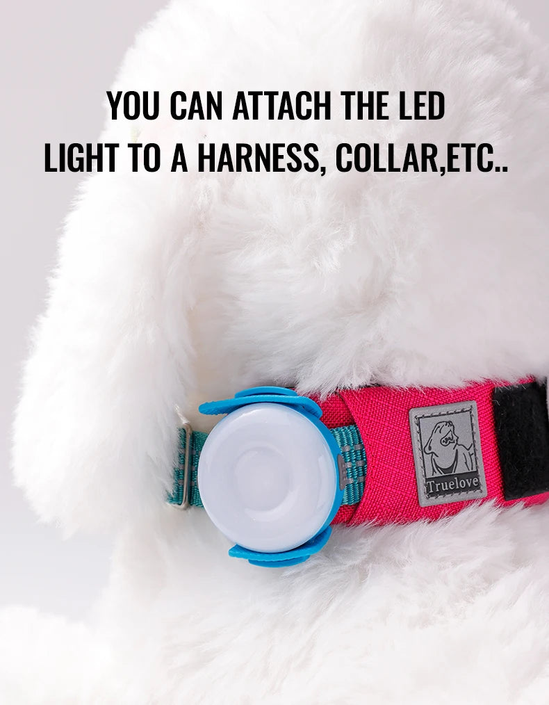 LED Light for Dogs – USB Rechargeable, Waterproof & Night-Safe! - Pet house