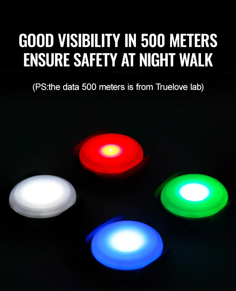LED Light for Dogs – USB Rechargeable, Waterproof & Night-Safe! - Pet house
