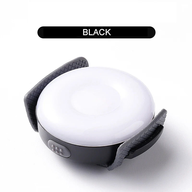 LED Light for Dogs – USB Rechargeable, Waterproof & Night-Safe! - Pet house