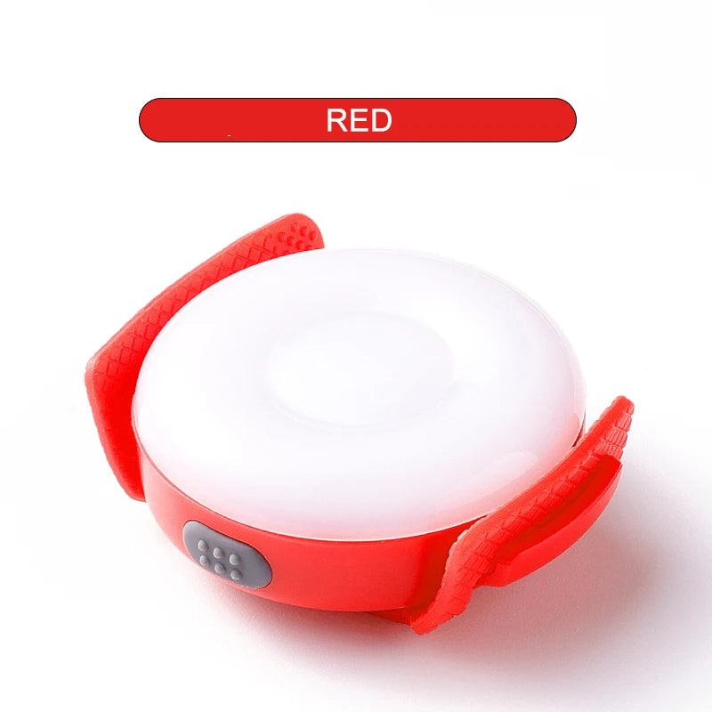 LED Light for Dogs – USB Rechargeable, Waterproof & Night-Safe! - Pet house