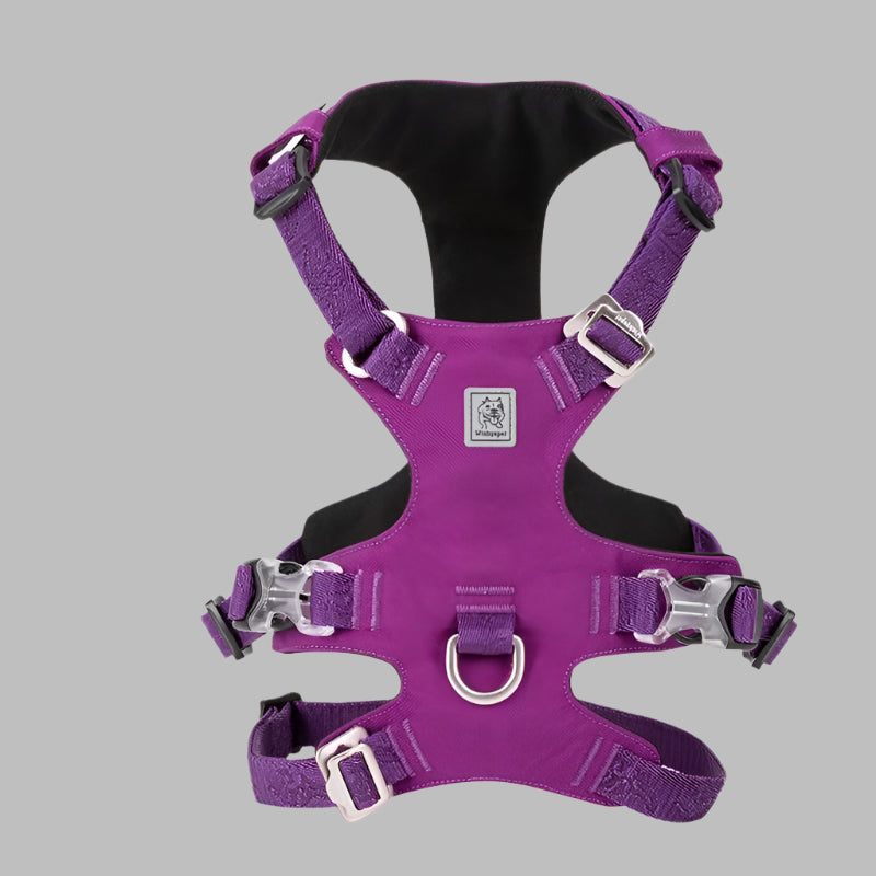 Lightweight Double-H Dog Harness – Adjustable, Waterproof & Secure! - Pet house