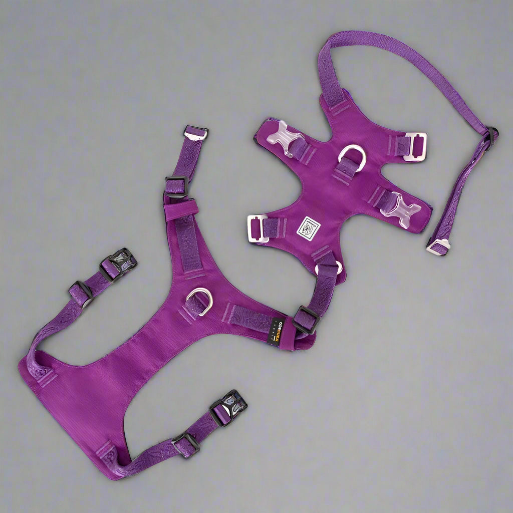 Lightweight Double-H Dog Harness – Adjustable, Waterproof & Secure! - Pet house