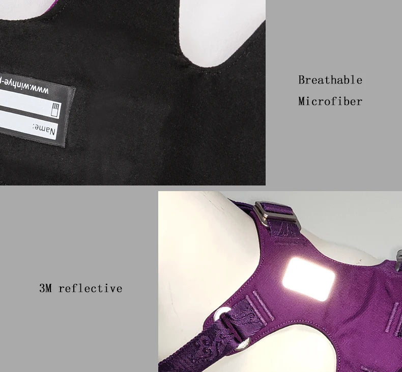 Lightweight Double-H Dog Harness – Adjustable, Waterproof & Secure! - Pet house