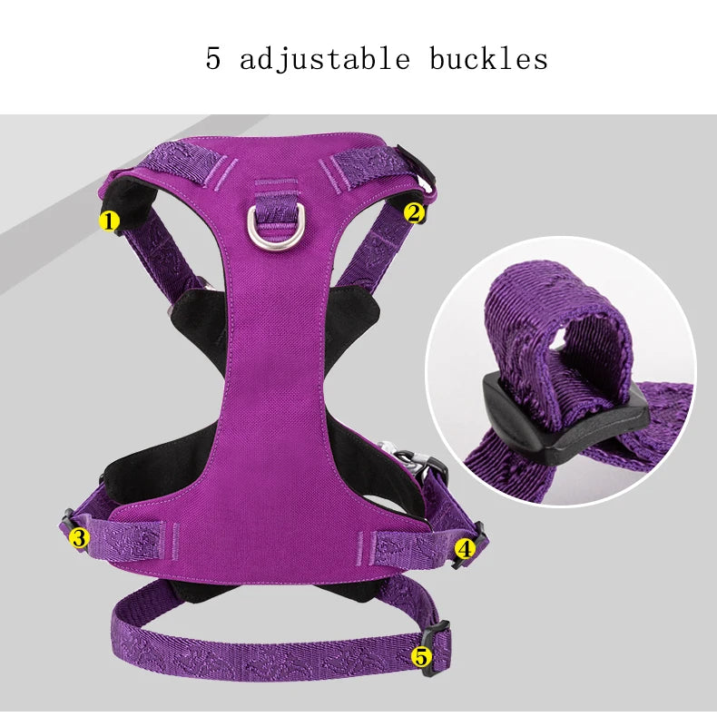 Lightweight Double-H Dog Harness – Adjustable, Waterproof & Secure! - Pet house