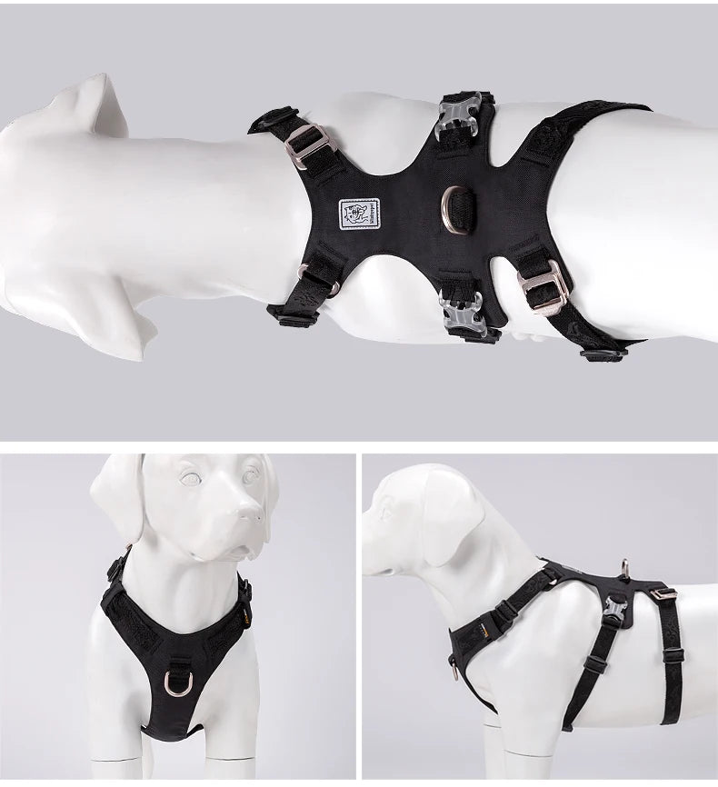 Lightweight Double-H Dog Harness – Adjustable, Waterproof & Secure! - Pet house