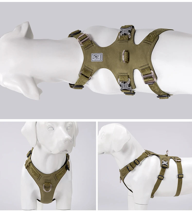 Lightweight Double-H Dog Harness – Adjustable, Waterproof & Secure! - Pet house