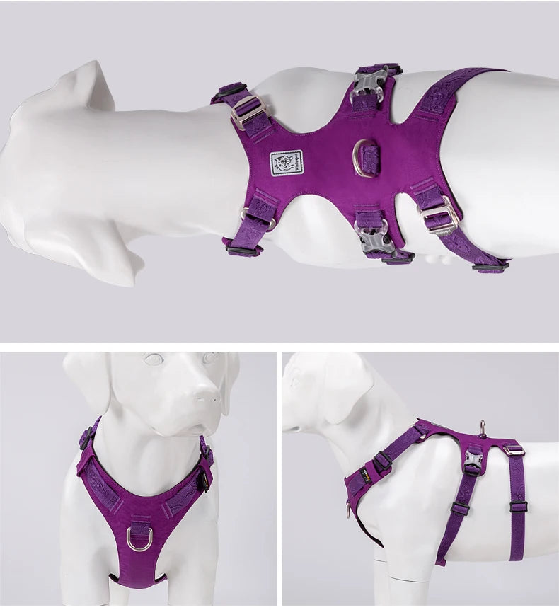 Lightweight Double-H Dog Harness – Adjustable, Waterproof & Secure! - Pet house