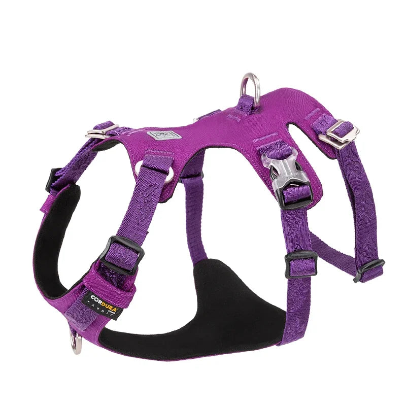 Lightweight Double-H Dog Harness – Adjustable, Waterproof & Secure! - Pet house