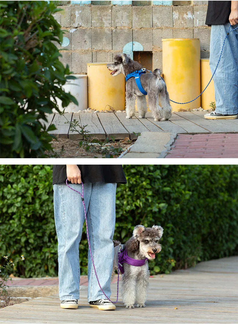 Lightweight Nylon Rope Pet Leash – Stylish, Secure & Durable - Pet house