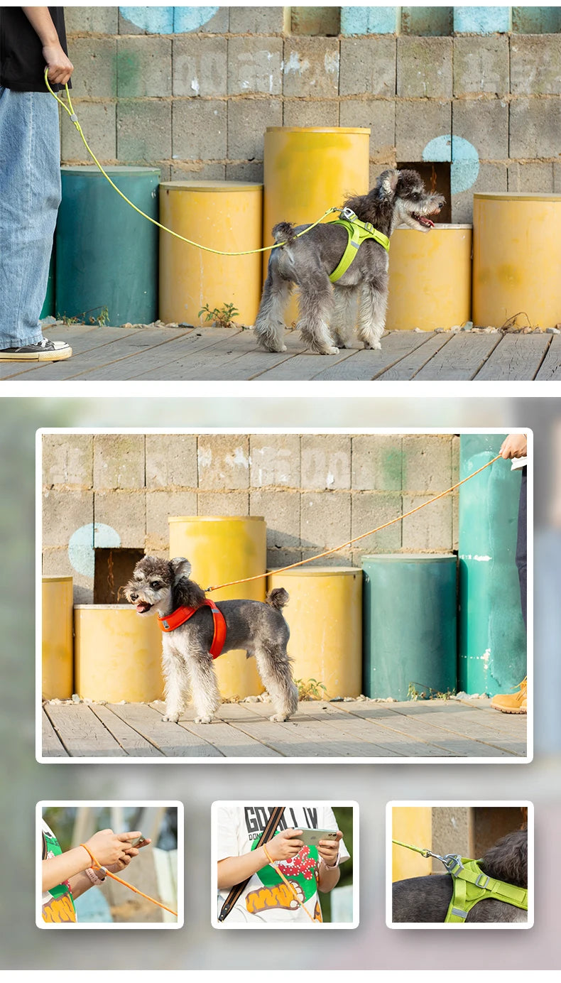 Lightweight Nylon Rope Pet Leash – Stylish, Secure & Durable - Pet house