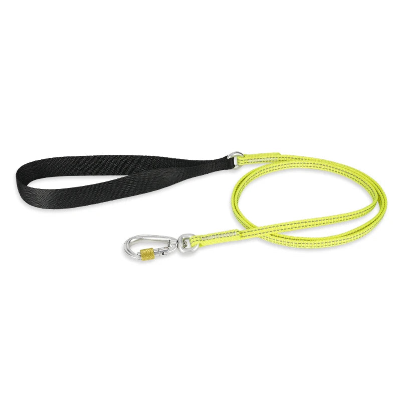 Lightweight Reflective Dog Leash – Stylish, Secure & Adjustable! - Pet house
