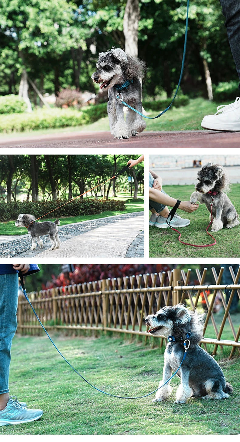 Lightweight Reflective Dog Leash – Stylish, Secure & Adjustable! - Pet house