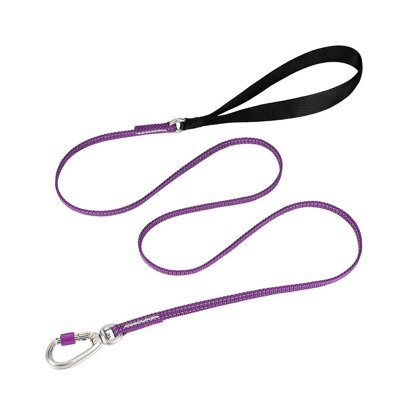 Lightweight Reflective Dog Leash – Stylish, Secure & Adjustable! - Pet house