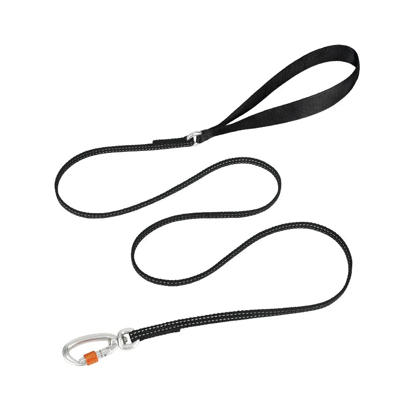 Lightweight Reflective Dog Leash – Stylish, Secure & Adjustable! - Pet house
