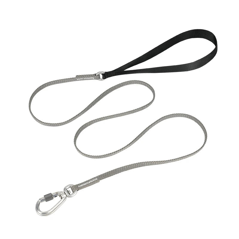 Lightweight Reflective Dog Leash – Stylish, Secure & Adjustable! - Pet house