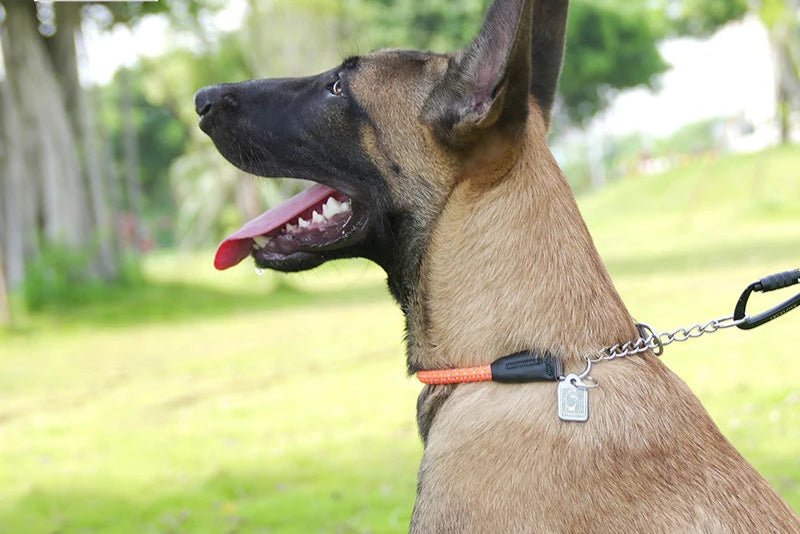 Reflective P-Chain Training Collar – Durable, Adjustable & Secure! - Pet house