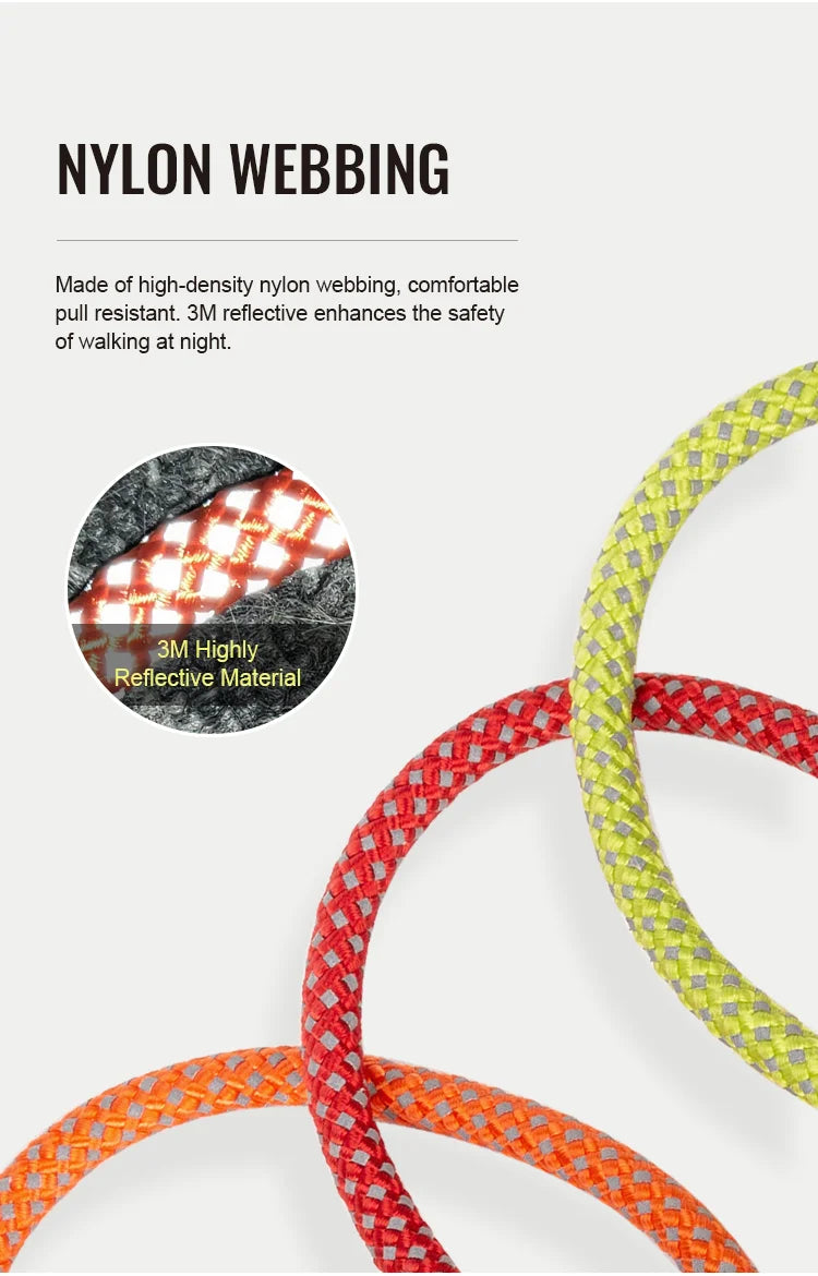 Reflective P-Chain Training Collar – Durable, Adjustable & Secure! - Pet house