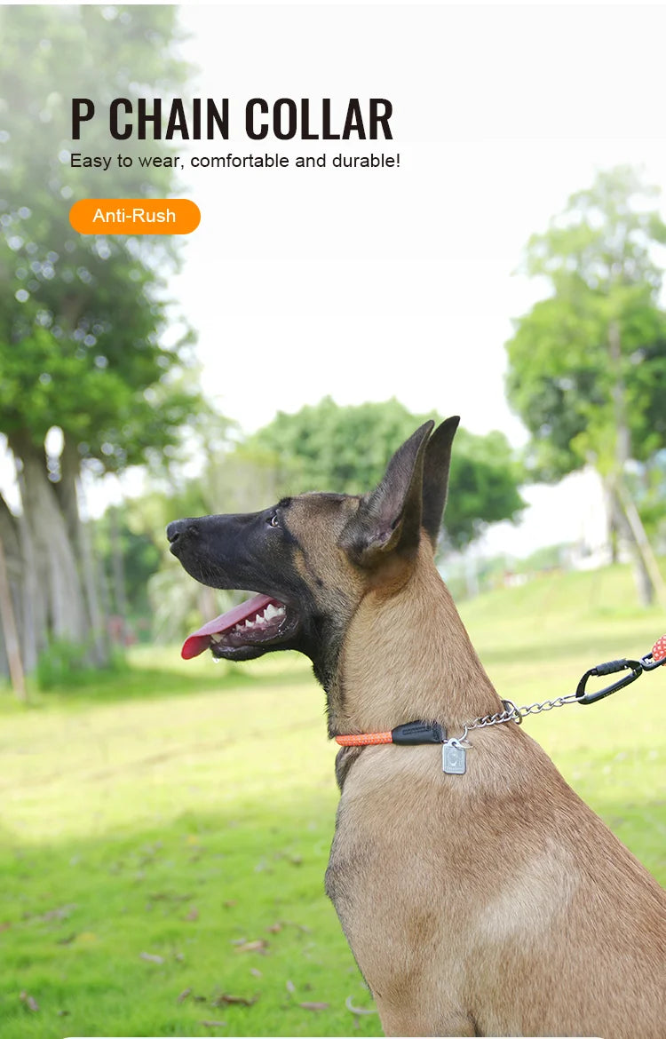 Reflective P-Chain Training Collar – Durable, Adjustable & Secure! - Pet house