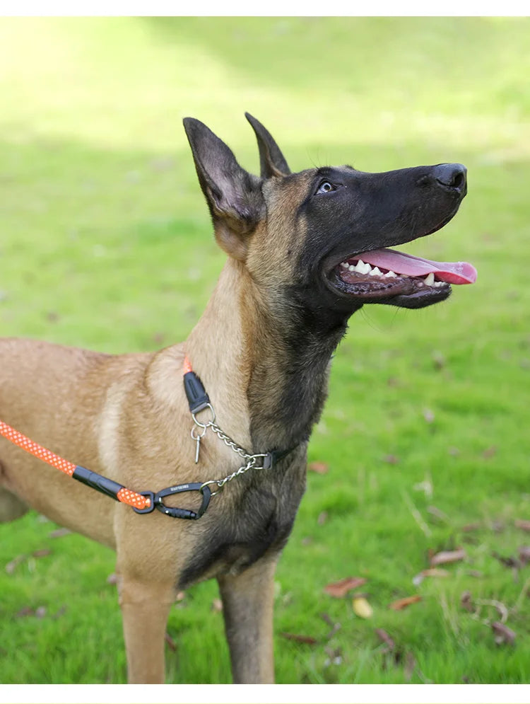 Reflective P-Chain Training Collar – Durable, Adjustable & Secure! - Pet house