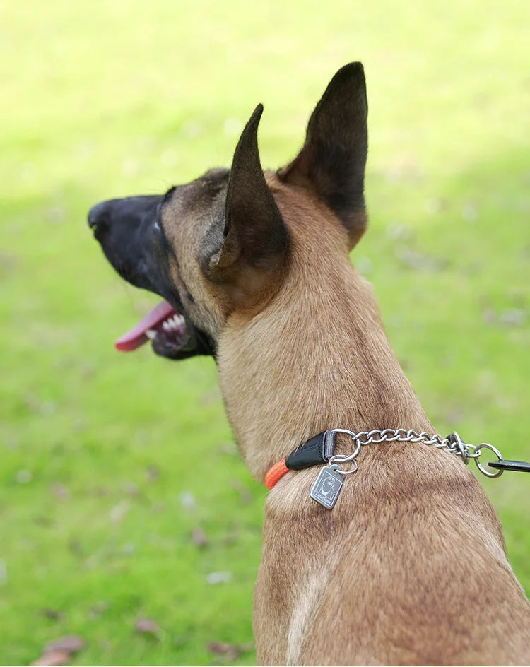 Reflective P-Chain Training Collar – Durable, Adjustable & Secure! - Pet house