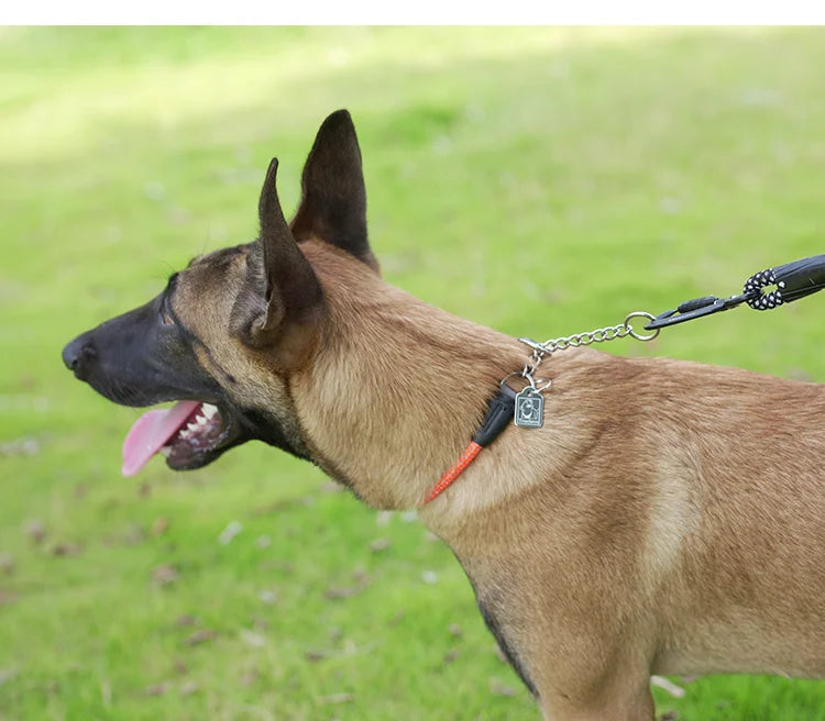 Reflective P-Chain Training Collar – Durable, Adjustable & Secure! - Pet house