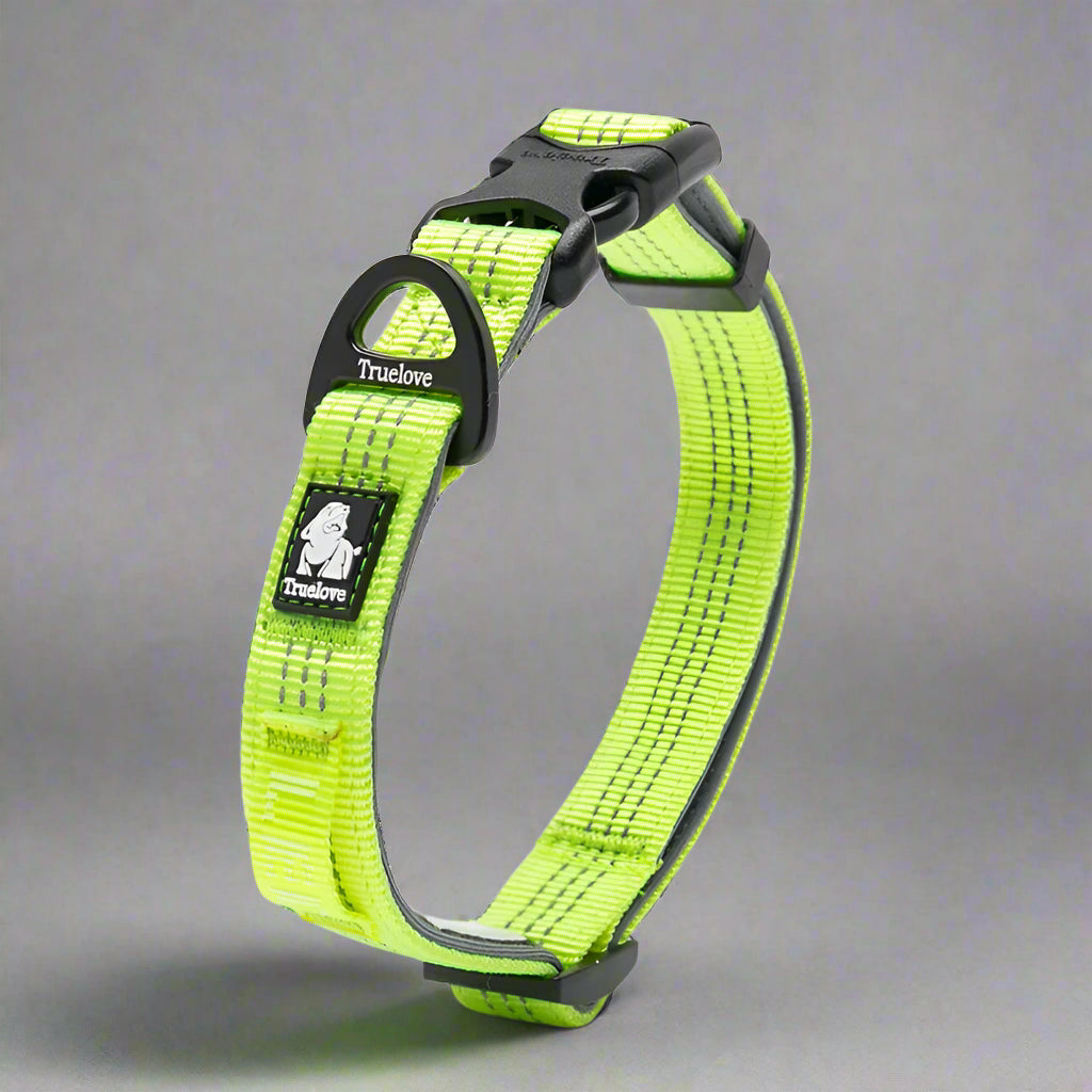 Reflective Padded Dog Collar – Adjustable, Soft & Comfortable! - Pet house