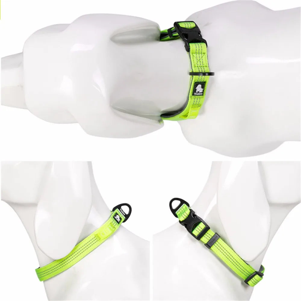 Reflective Padded Dog Collar – Adjustable, Soft & Comfortable! - Pet house