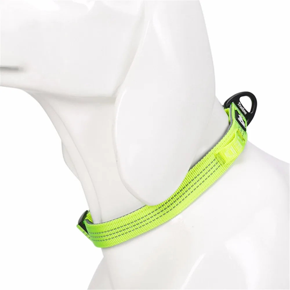 Reflective Padded Dog Collar – Adjustable, Soft & Comfortable! - Pet house