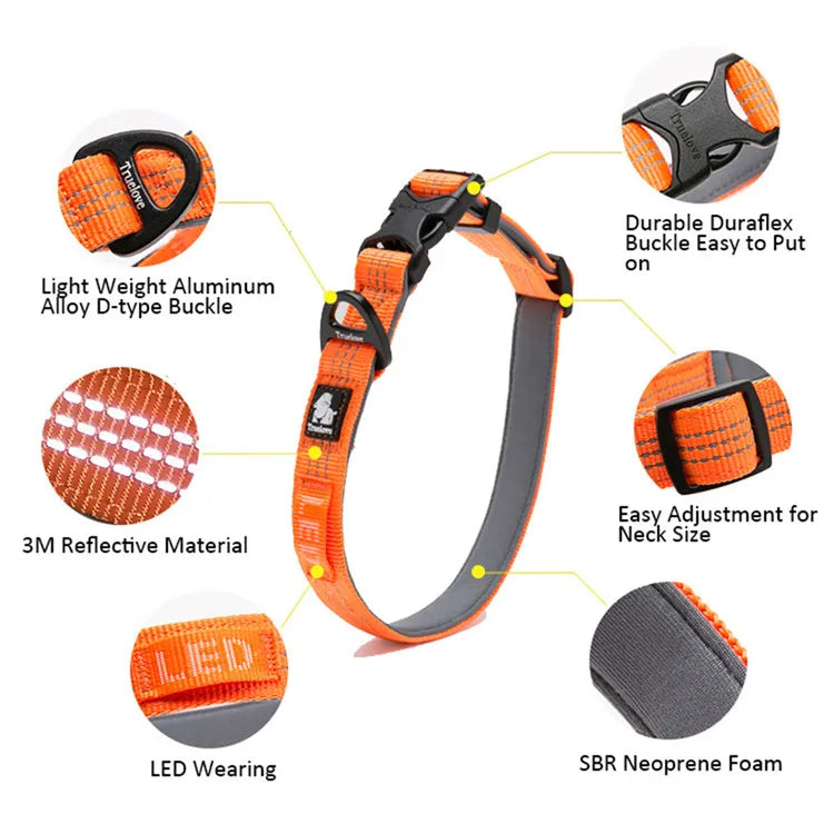 Reflective Padded Dog Collar – Adjustable, Soft & Comfortable! - Pet house