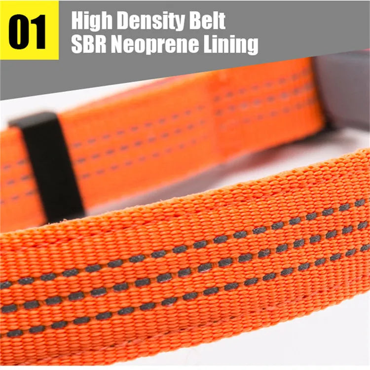 Reflective Padded Dog Collar – Adjustable, Soft & Comfortable! - Pet house