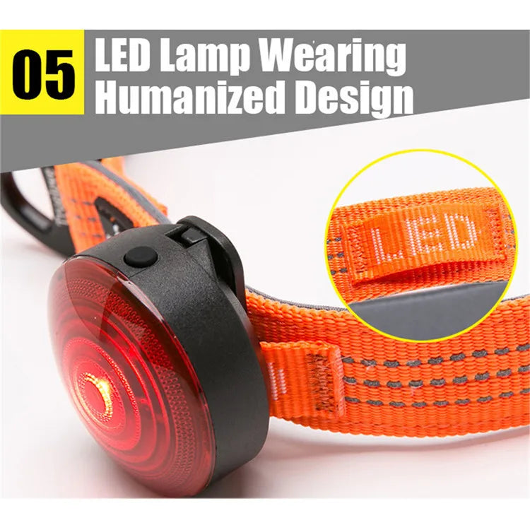 Reflective Padded Dog Collar – Adjustable, Soft & Comfortable! - Pet house