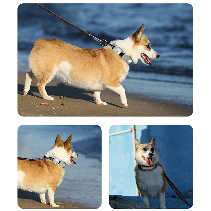 Reflective Personalized Dog Collar – Adjustable, Breathable & Durable! - Pet house