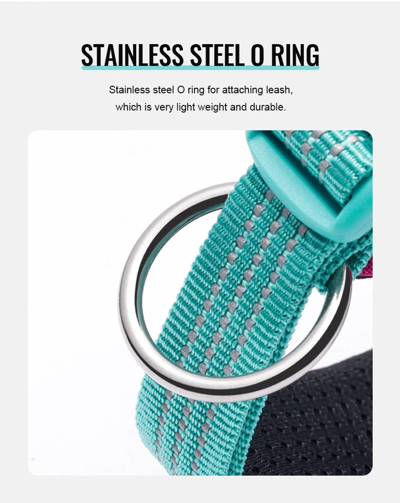 Reflective Personalized Dog Collar – Adjustable, Breathable & Durable! - Pet house