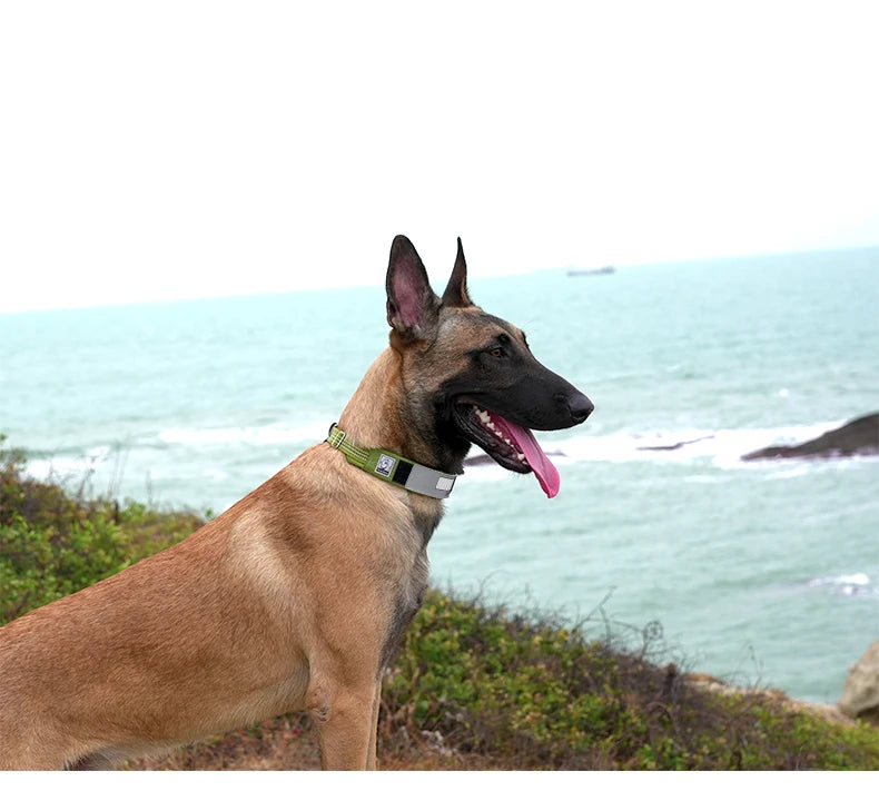 Reflective Personalized Dog Collar – Adjustable, Breathable & Durable! - Pet house