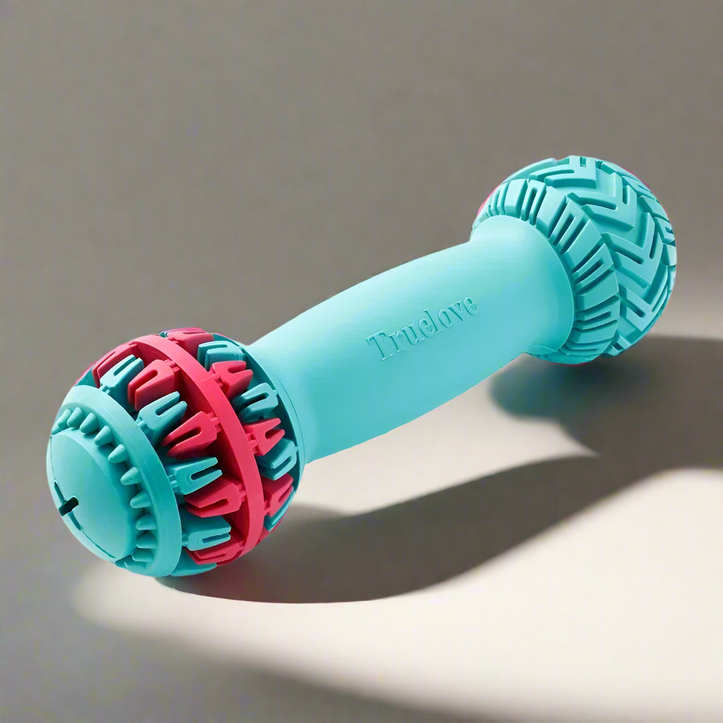 Leak-Proof Dumbbell Treat Dispenser – Slow Feeder & IQ Training Toy! - Pet house