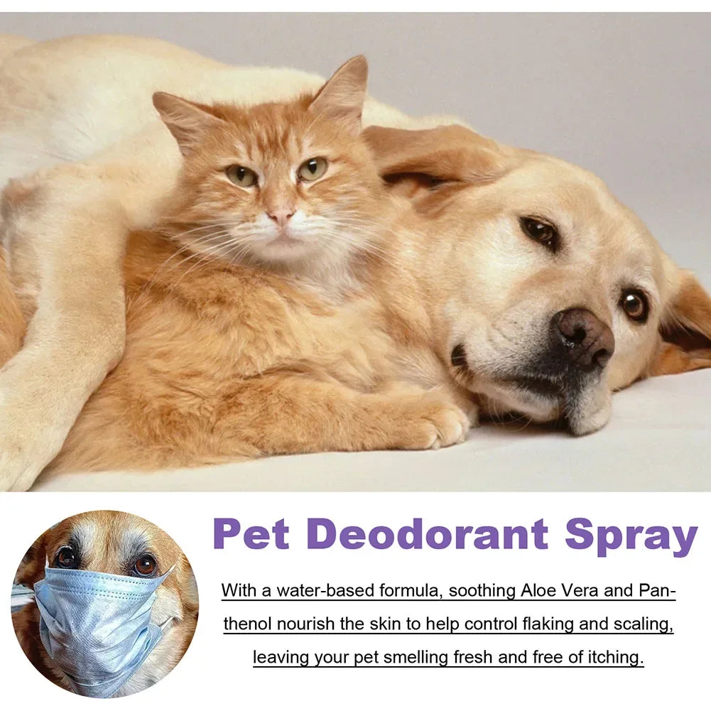 Lavender Scent Dog Air Freshener & Deodorizer Spray – Long-Lasting Freshness! - Pet house