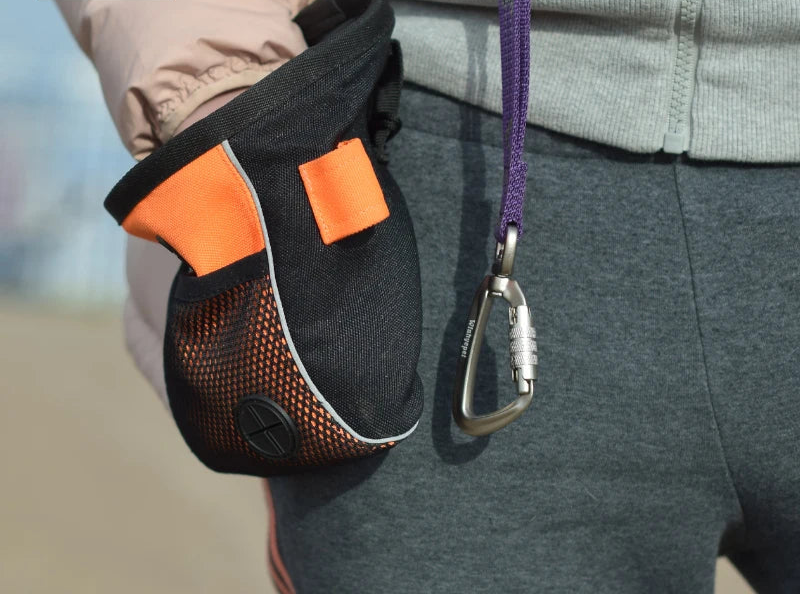 Waterproof Dog Treat Bag – High Capacity & Durable for Training! - Pet house