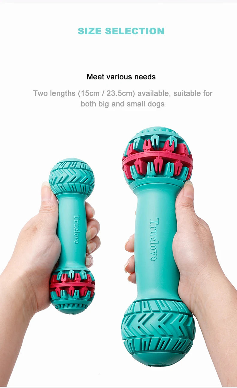 Leak-Proof Dumbbell Treat Dispenser – Slow Feeder & IQ Training Toy! - Pet house