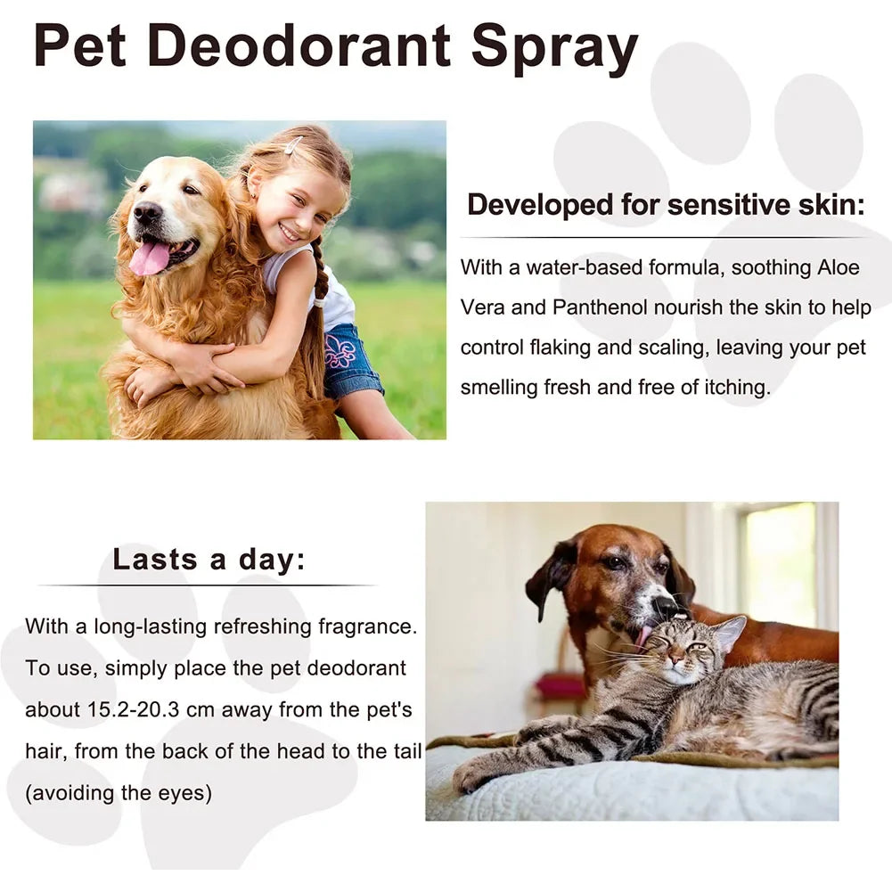 Lavender Scent Dog Air Freshener & Deodorizer Spray – Long-Lasting Freshness! - Pet house