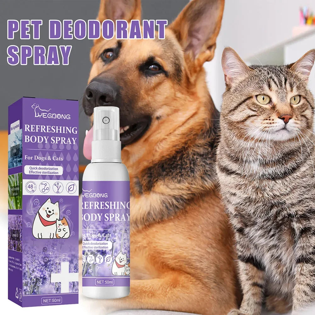 Lavender Scent Dog Air Freshener & Deodorizer Spray – Long-Lasting Freshness! - Pet house