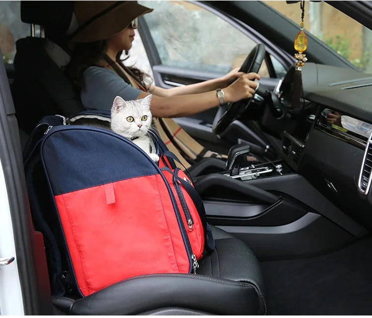 Multi-Function Pet Backpack – Stylish, Foldable & Travel-Ready! - Pet house