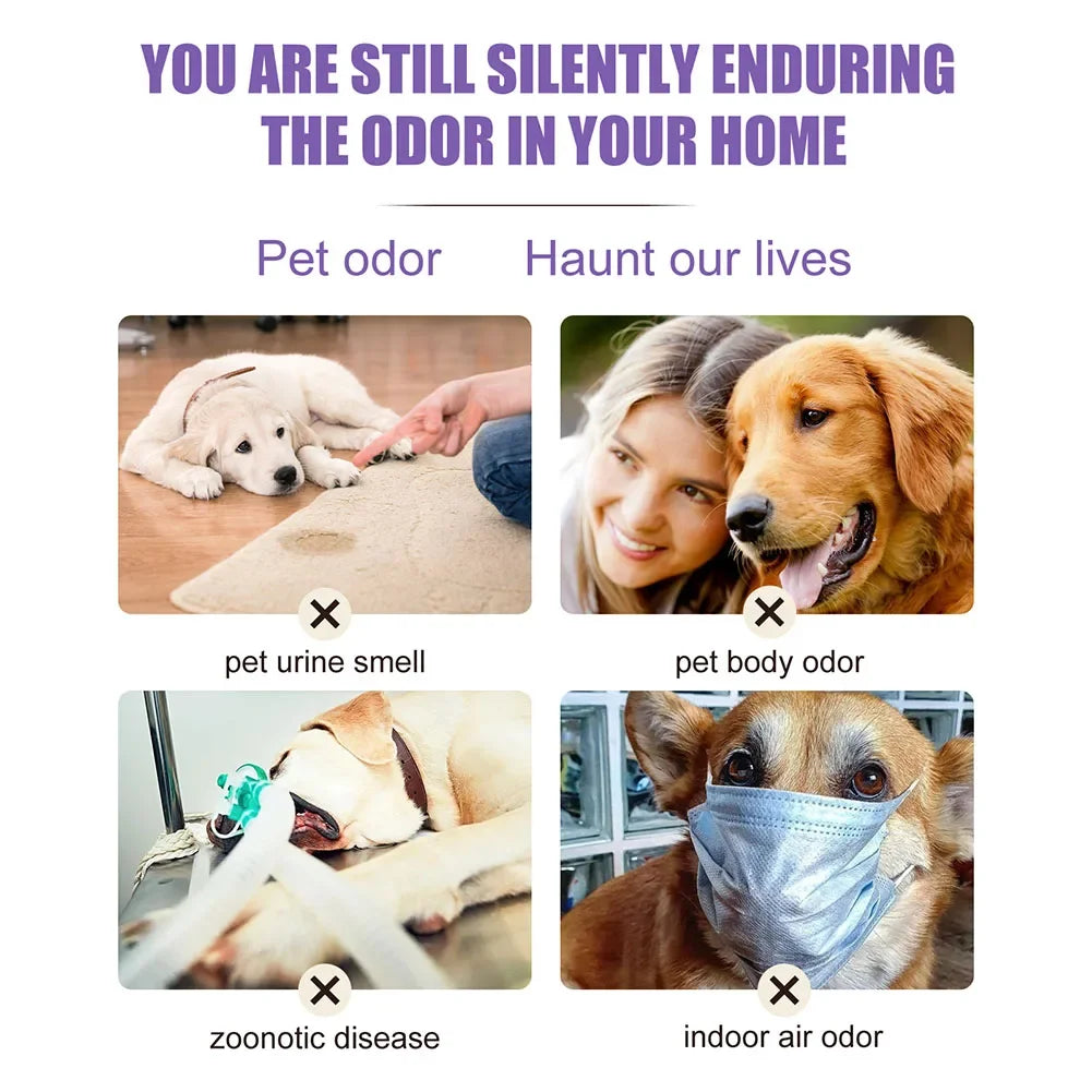 Lavender Scent Dog Air Freshener & Deodorizer Spray – Long-Lasting Freshness! - Pet house