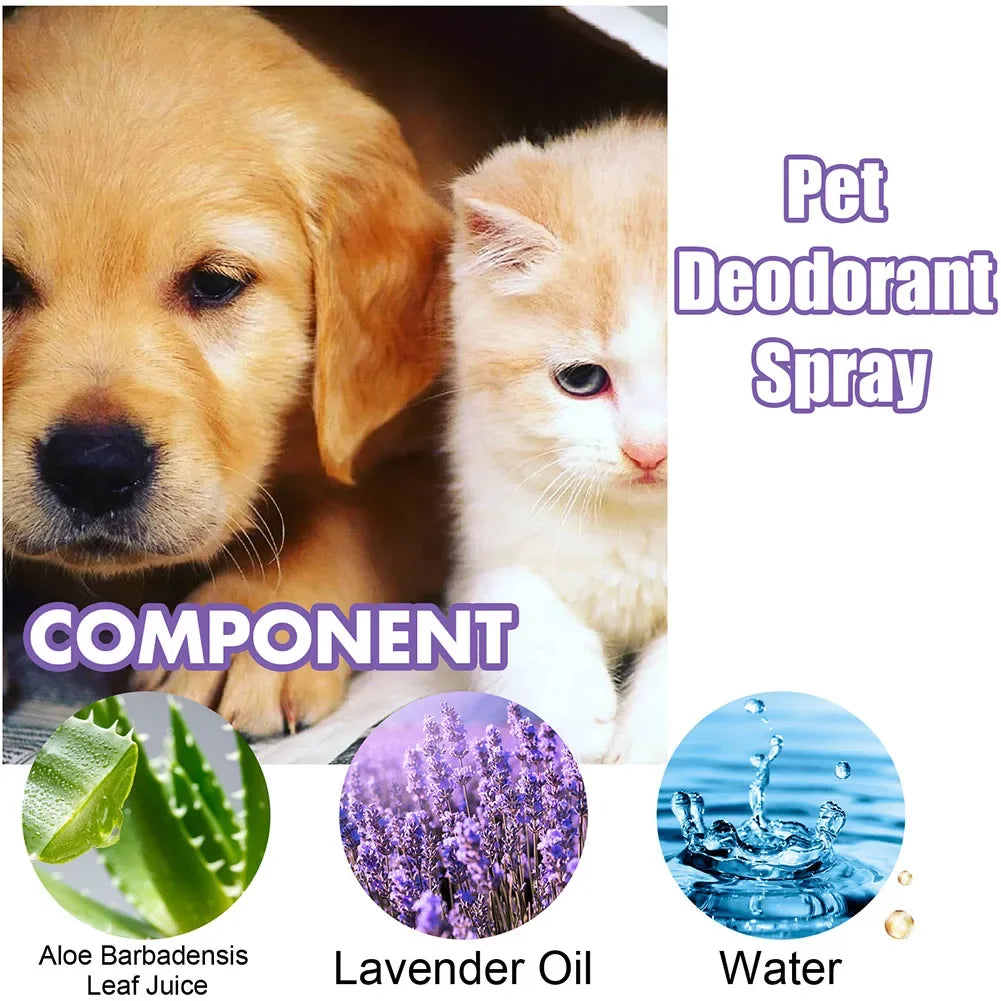 Lavender Scent Dog Air Freshener & Deodorizer Spray – Long-Lasting Freshness! - Pet house