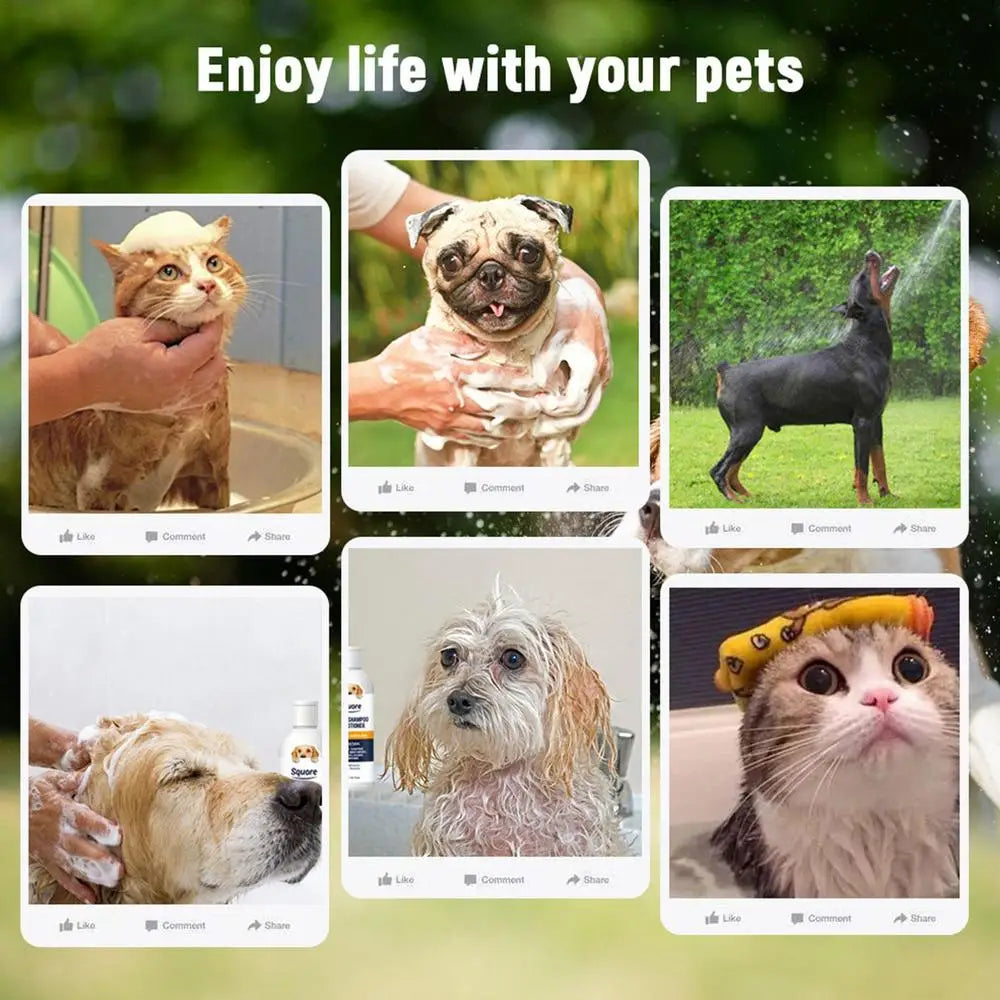 2-in-1 Dog Shampoo & Conditioner – Moisturizing & pH-Balanced for Sensitive Skin - Pet house