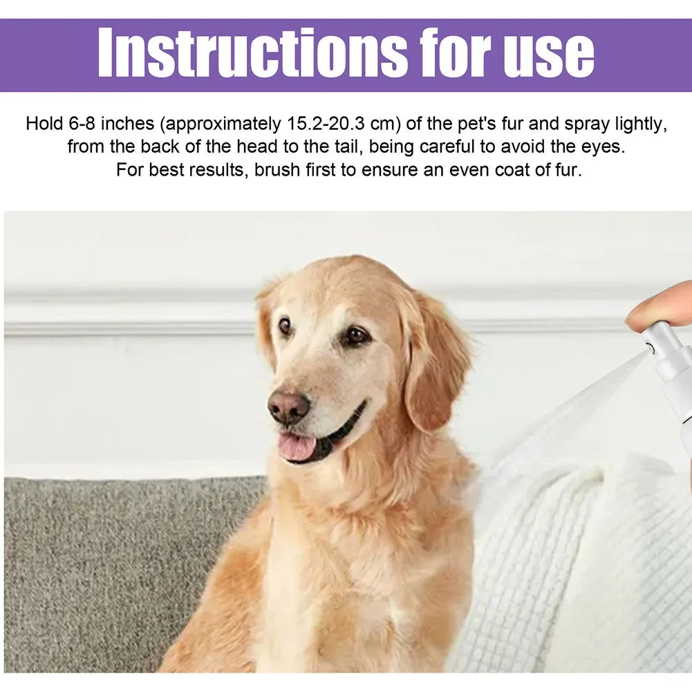 Lavender Scent Dog Air Freshener & Deodorizer Spray – Long-Lasting Freshness! - Pet house