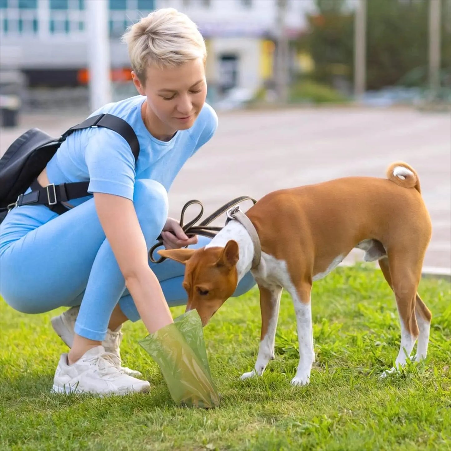 Biodegradable Dog Poop Bags with Dispenser – Extra Thick & Eco-Friendly! - Pet house