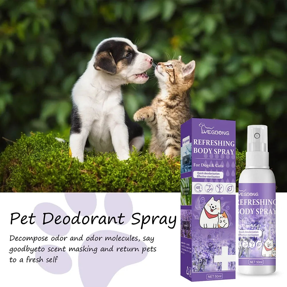 Lavender Scent Dog Air Freshener & Deodorizer Spray – Long-Lasting Freshness! - Pet house