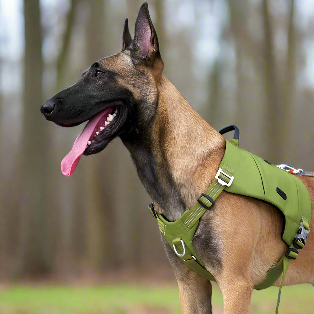 Adjustable Dog Backpack Harness – Tactical, Durable & Adventure-Ready! - Pet house